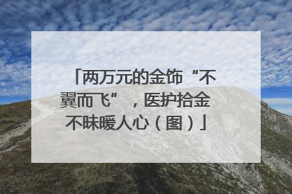 两万元的金饰“不翼而飞”，医护拾金不昧暖人心（图）